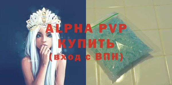 амф Новозыбков