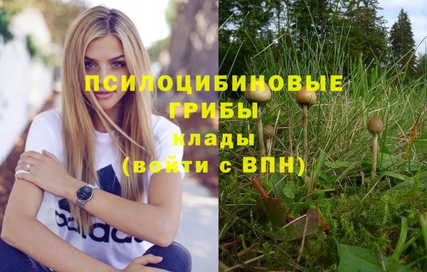 амф Новозыбков