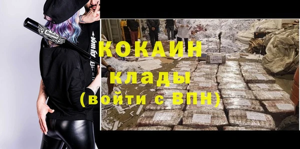амф Новозыбков