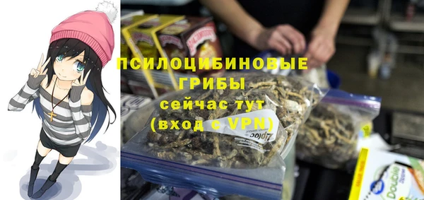амф Новозыбков