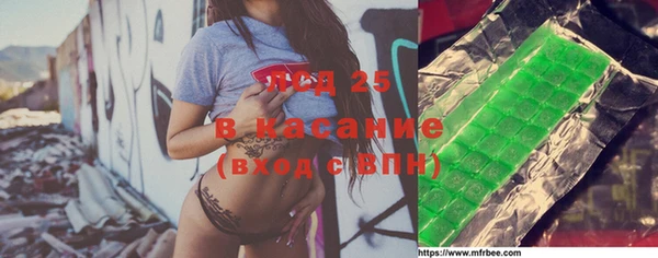 амф Новозыбков